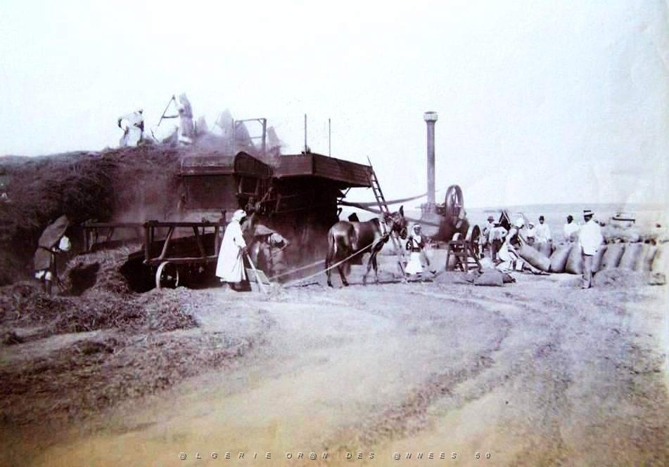 Images d'Algerie 079.jpg